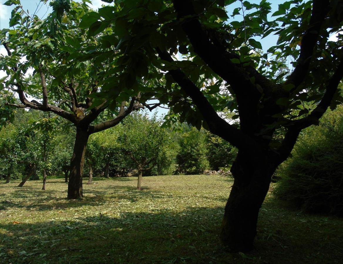 Cascina Cavalli Astino Villa Bergamo Ngoại thất bức ảnh