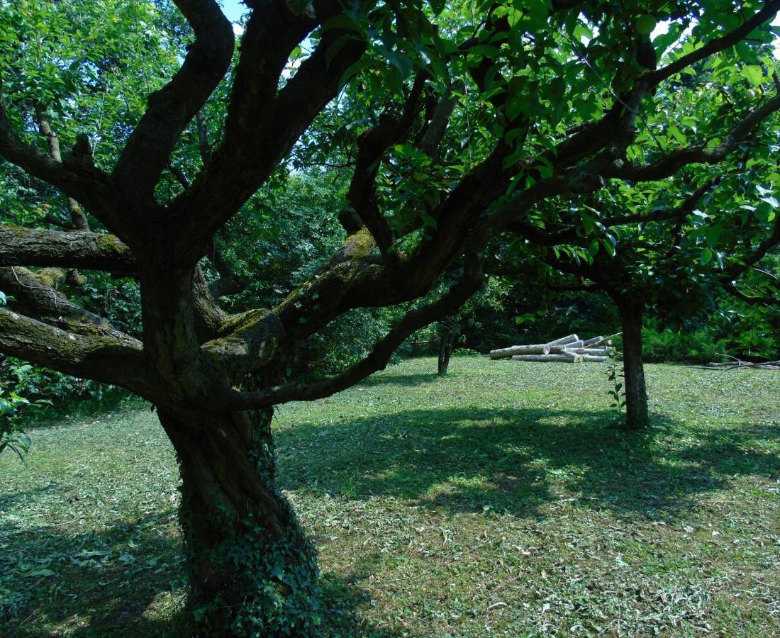 Cascina Cavalli Astino Villa Bergamo Ngoại thất bức ảnh